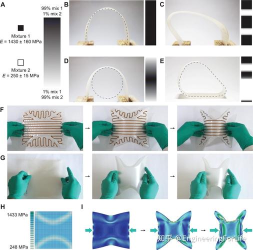 science子刊3d打印具有連續多方向剛度梯度的纖維素材料